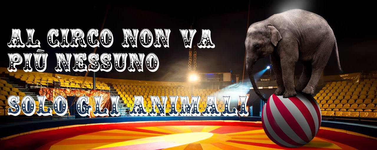 Grazie
